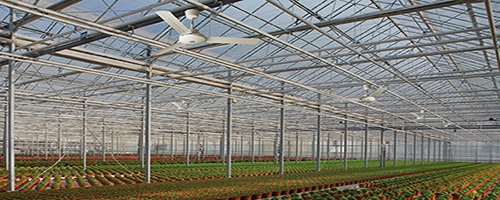 Вентилятор потолочный Vortice Nordik International Plus 90/36. Италия